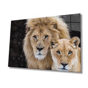 Aslan Hayvan Cam Tablo 4mm Dayanıklı Temperli Cam