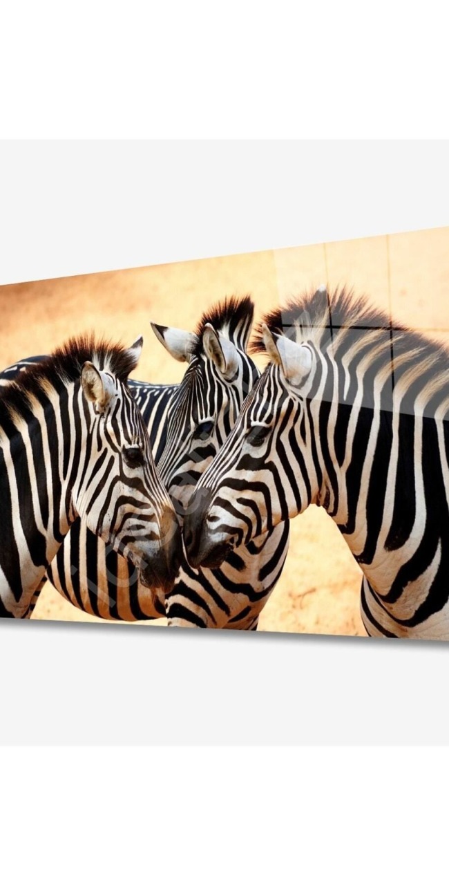 Zebra Hayvan Cam Tablo 4mm Dayanıklı Temperli Cam