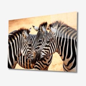 Zebra Hayvan Cam Tablo 4mm Dayanıklı Temperli Cam