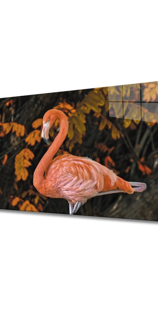 Flamingo 2 Cam Tablo