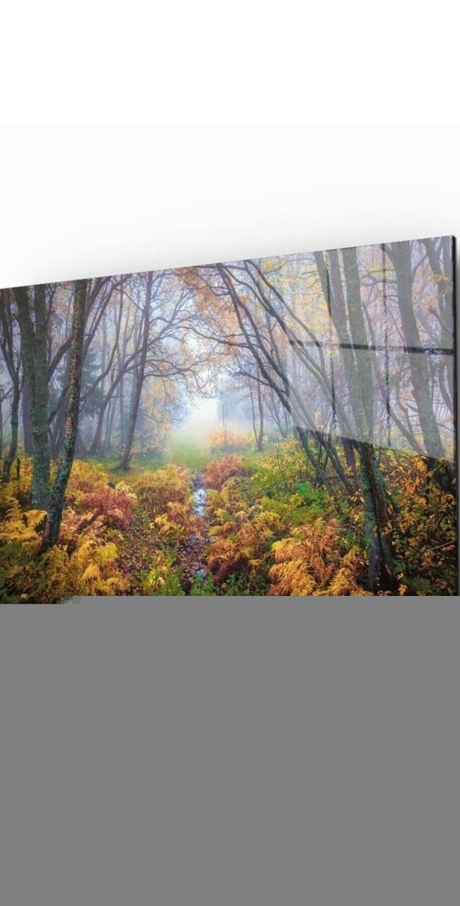 Doğa Manzara Cam Tablo 4mm Dayanıklı Temperli Cam