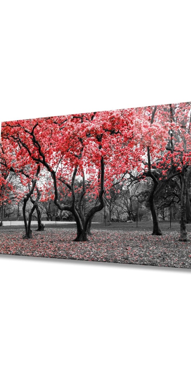 Kırmızı Ağaçlar Doğa Cam Tablo, Ev ve Ofis Duvar Dekoru, Hediyelik Büyük Temperli 4 mm Cam Tablo