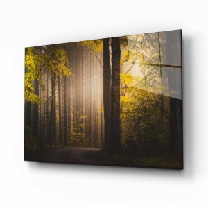 Doğa Manzara Cam Tablo 4mm Dayanıklı Temperli Cam