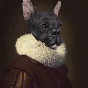  Asil Köpek Sayılarla Boyama Seti  Kasnaklı  40 x 50