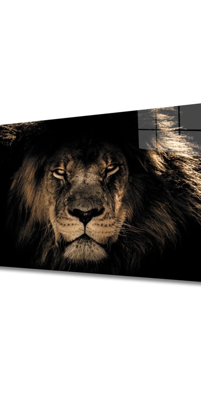 Aslan 14 Cam Tablo