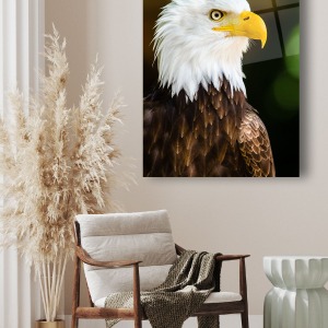 Kartal Dikey Cam Tablo, Modern Ev Ofis Salon Duvar Dekoru, Hediyelik Tablo Dekor