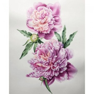  Pembe Çiçekler Sayılarla Boyama Seti  Kasnaklı  40 x 50