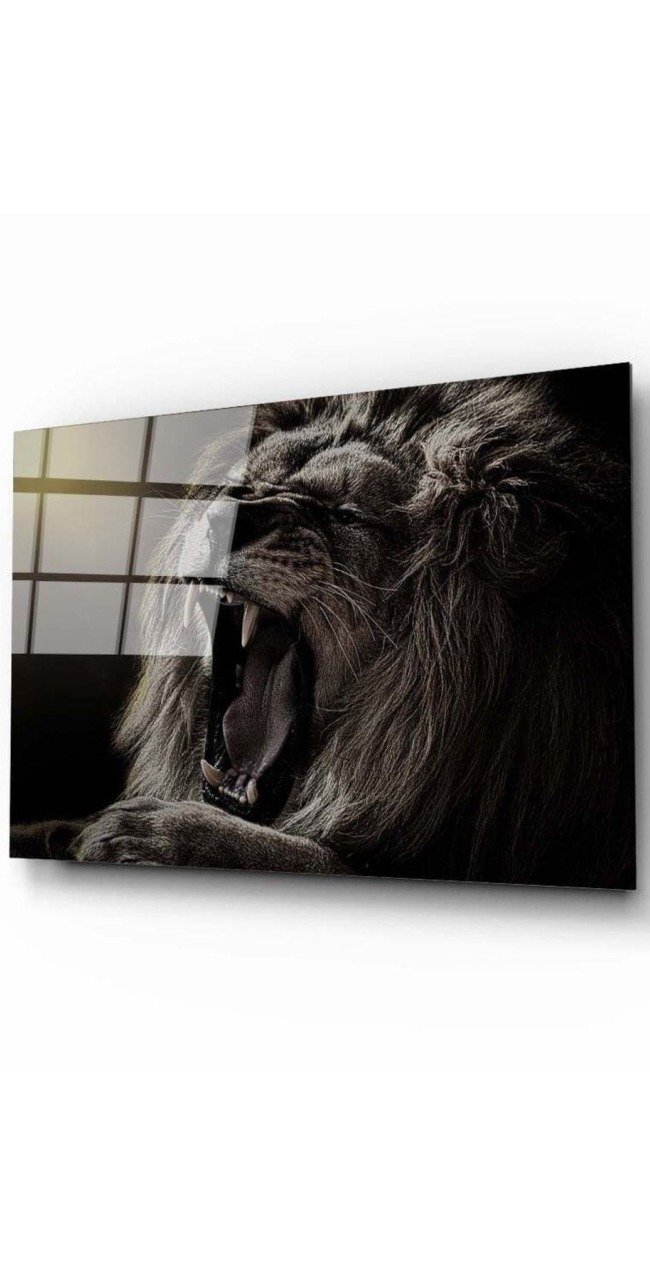 Aslan 5 Cam Tablo