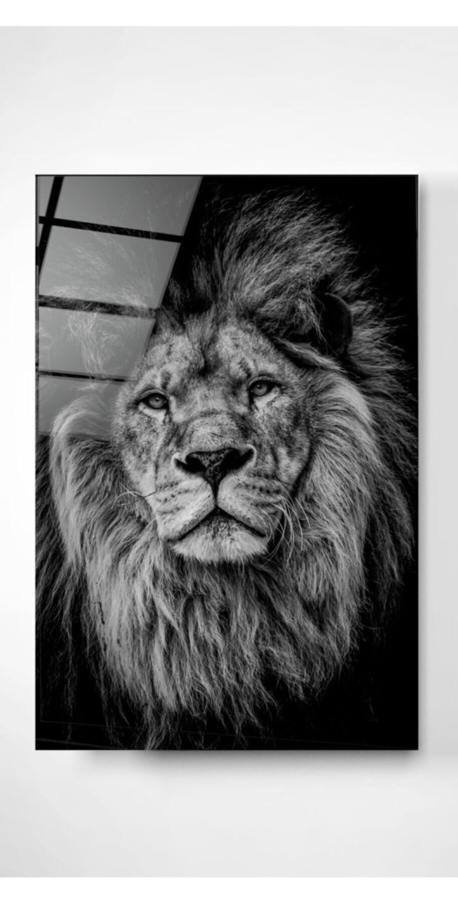 Aslan Cam Tablo