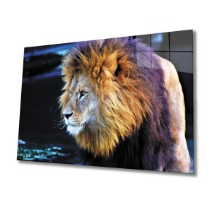 Aslan 2 Cam Tablo