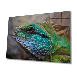 İguana Cam Tablo