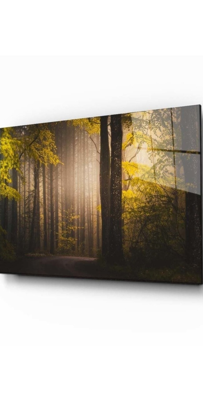 Doğa Manzara Cam Tablo 4mm Dayanıklı Temperli Cam