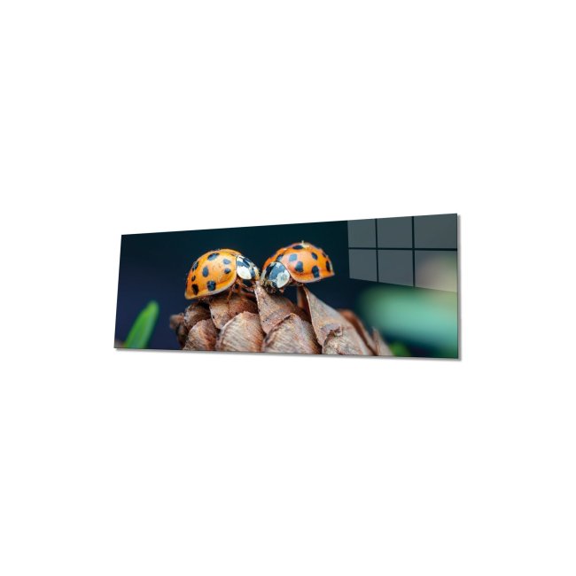 Text