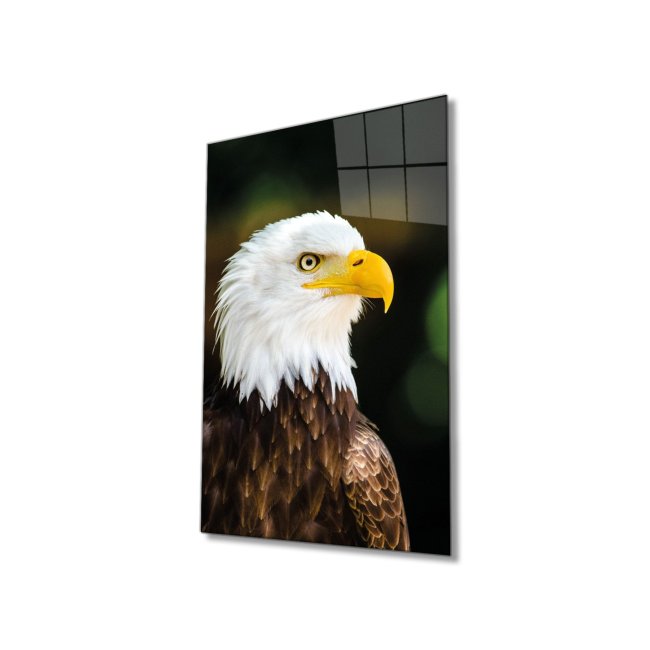 Text