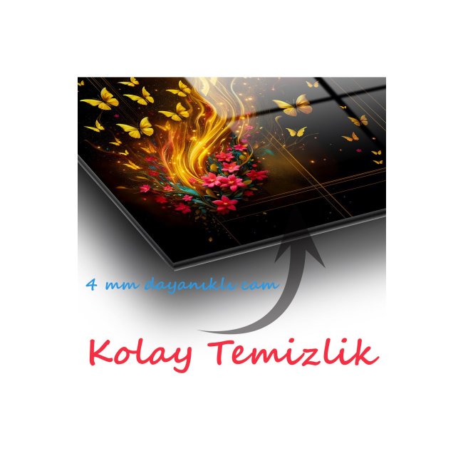 Text