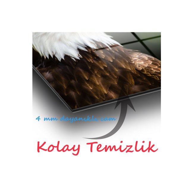 Text