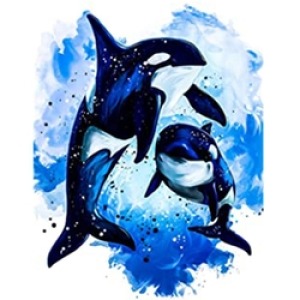  Orca Sayılarla Boyama Seti Kasnaklı  40 x 50