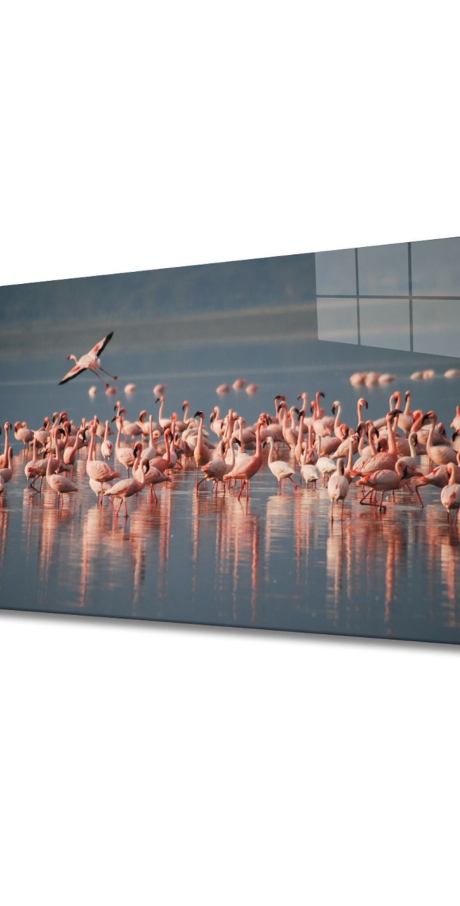 Flamingo Cam Tablo