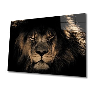 Aslan 14 Cam Tablo