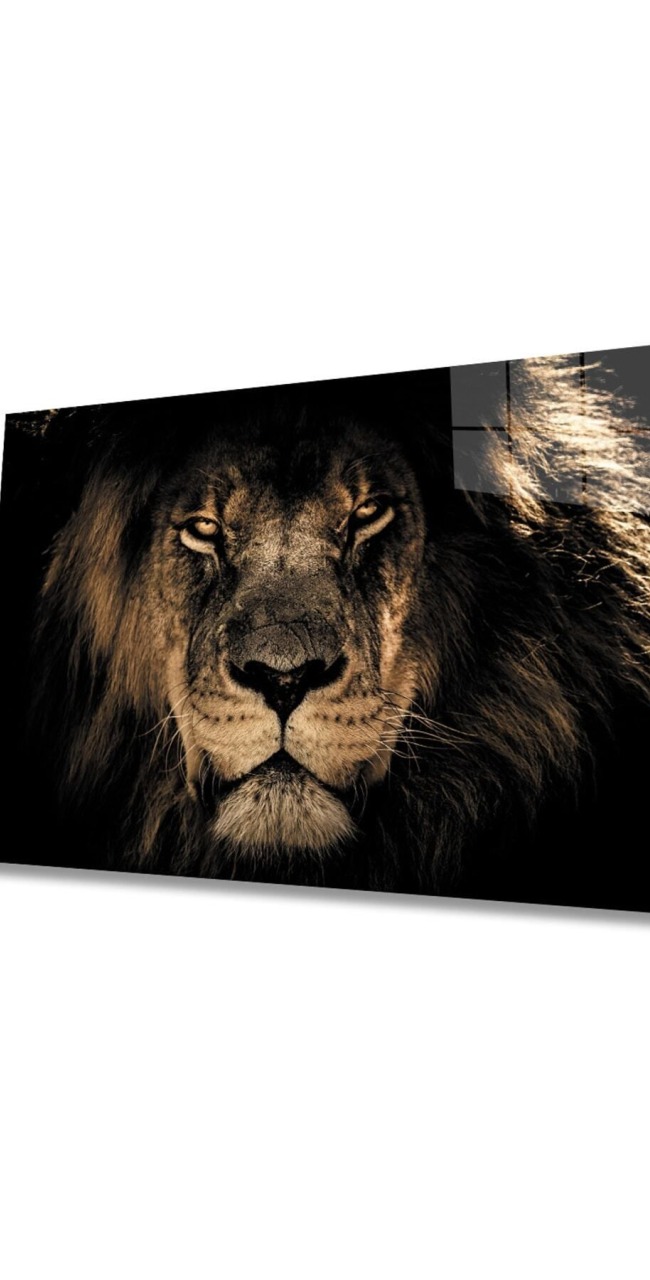Aslan Hayvan Cam Tablo 4mm Dayanıklı Temperli Cam