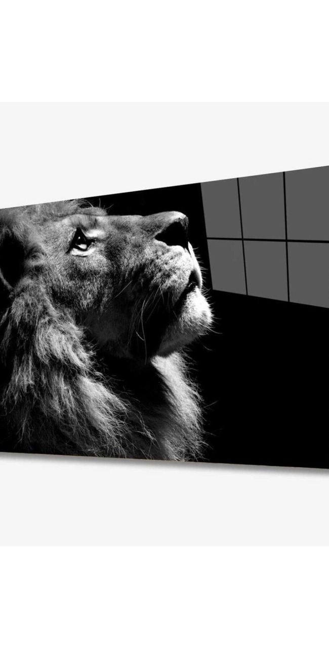 Aslan Hayvan Cam Tablo 4mm Dayanıklı Temperli Cam