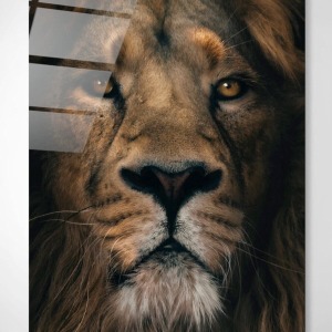Aslan Cam Tablo