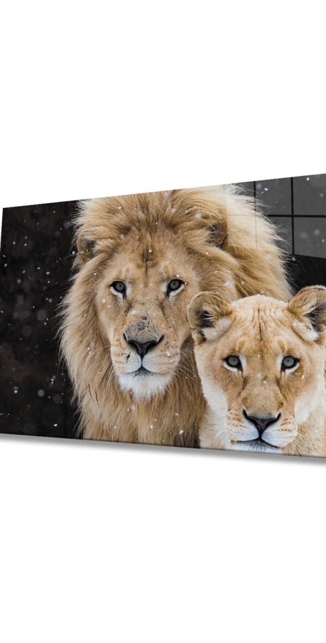 Aslan Hayvan Cam Tablo 4mm Dayanıklı Temperli Cam