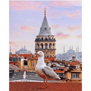  Galata Rüyasi Sayılarla Boyama Seti Kasnaklı  40 x 50