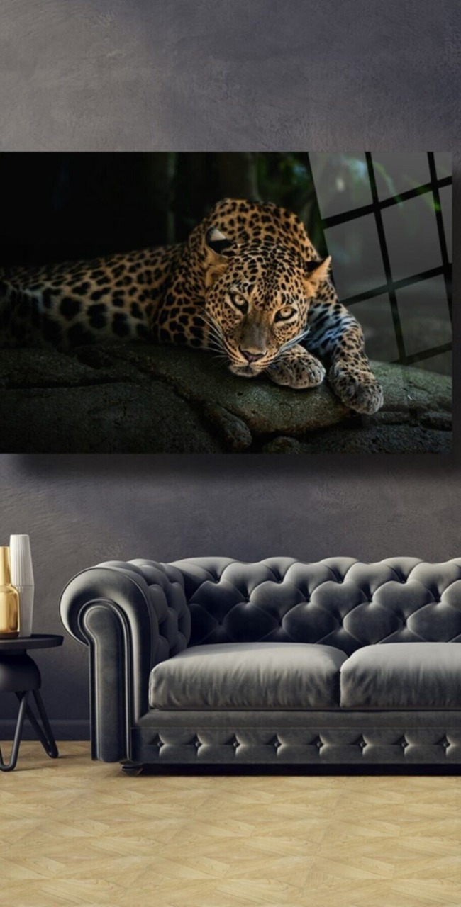 Leopar Cam Tablo