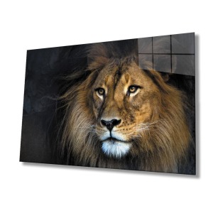 Aslan Hayvan Cam Tablo 4mm Dayanıklı Temperli Cam