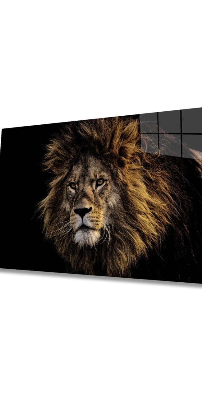 Aslan 20 Hayvan Cam Tablo