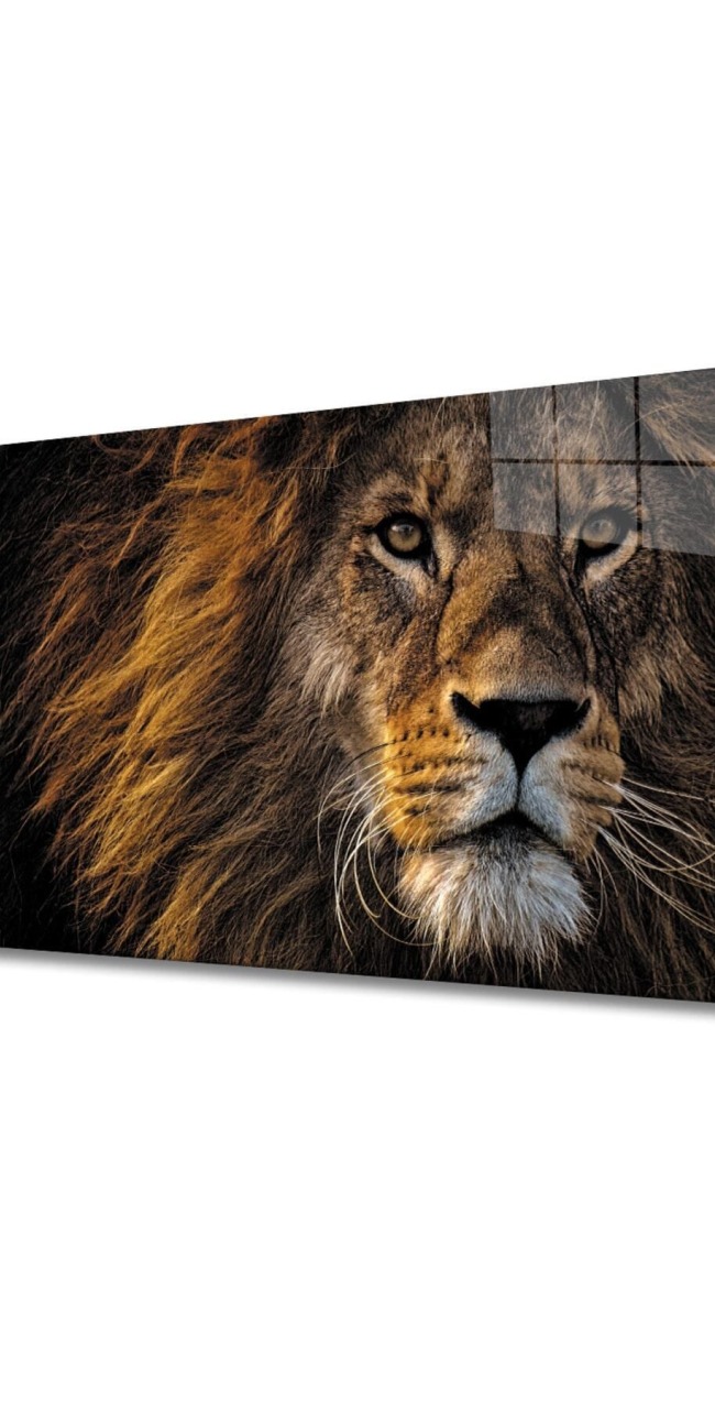 Aslan 11 Cam Tablo