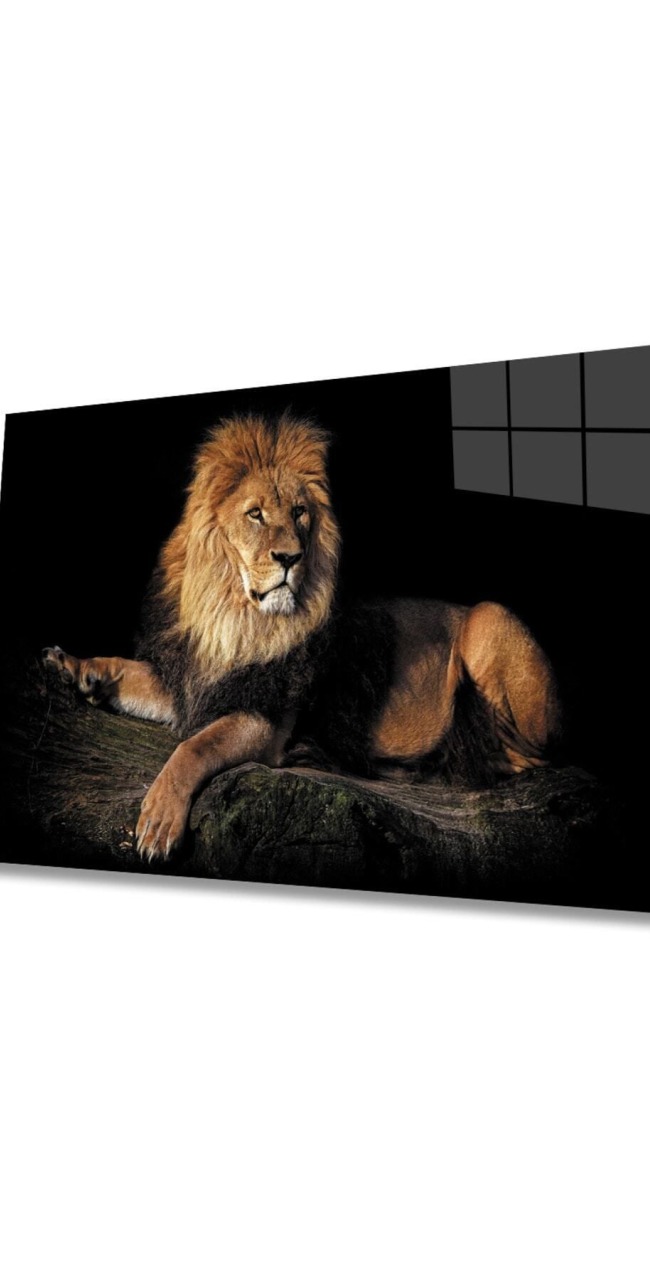 Aslan Hayvan Cam Tablo 4mm Dayanıklı Temperli Cam
