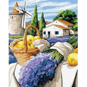  Kurt Sayılarla Boyama Seti Kasnaklı  40 x 50
