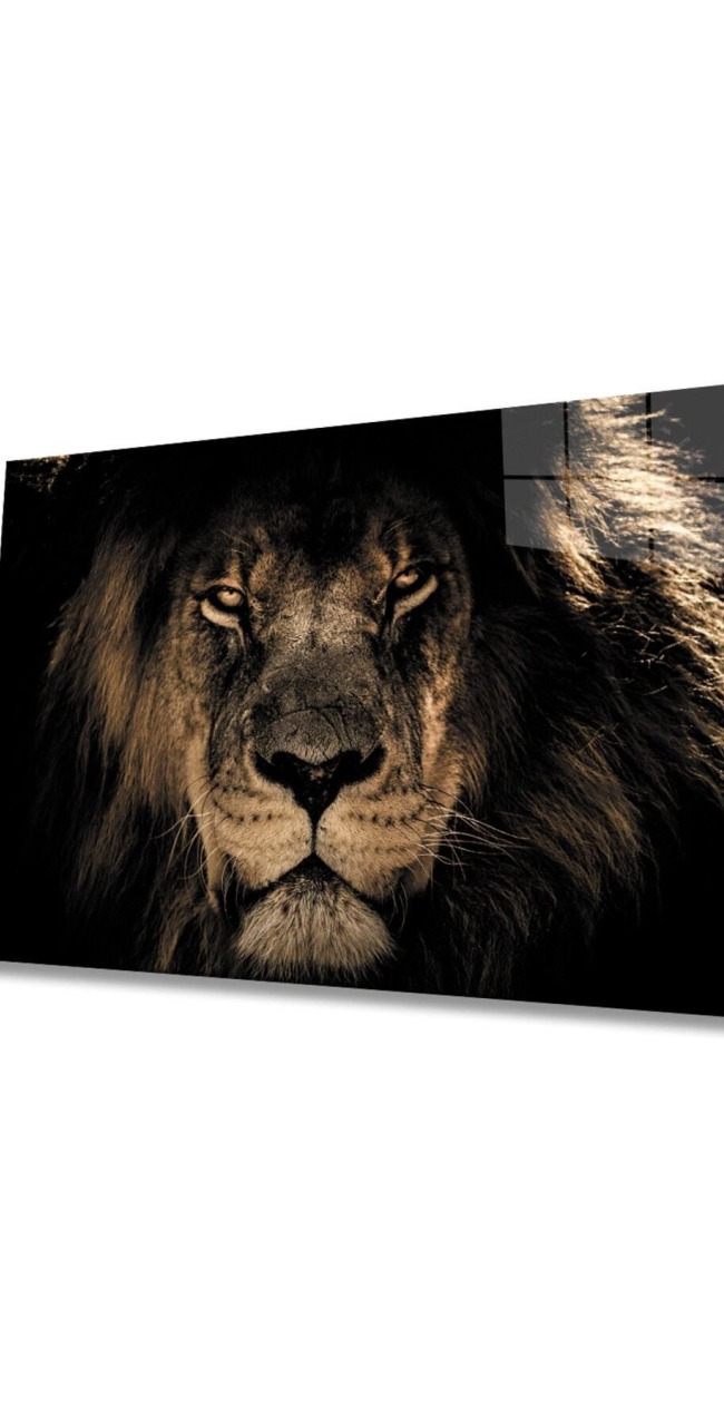 Aslan Cam Tablo