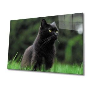 Kedi 2 Cam Tablo