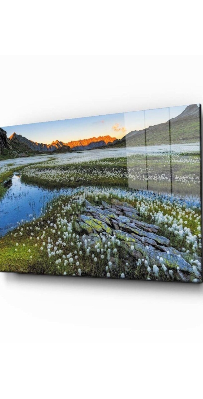 Doğa Manzara Cam Tablo 4mm Dayanıklı Temperli Cam