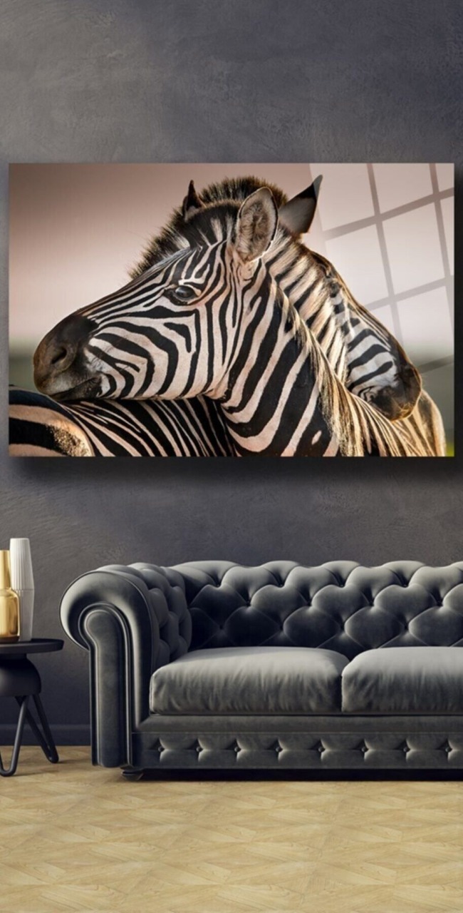 Zebra Cam Tablo