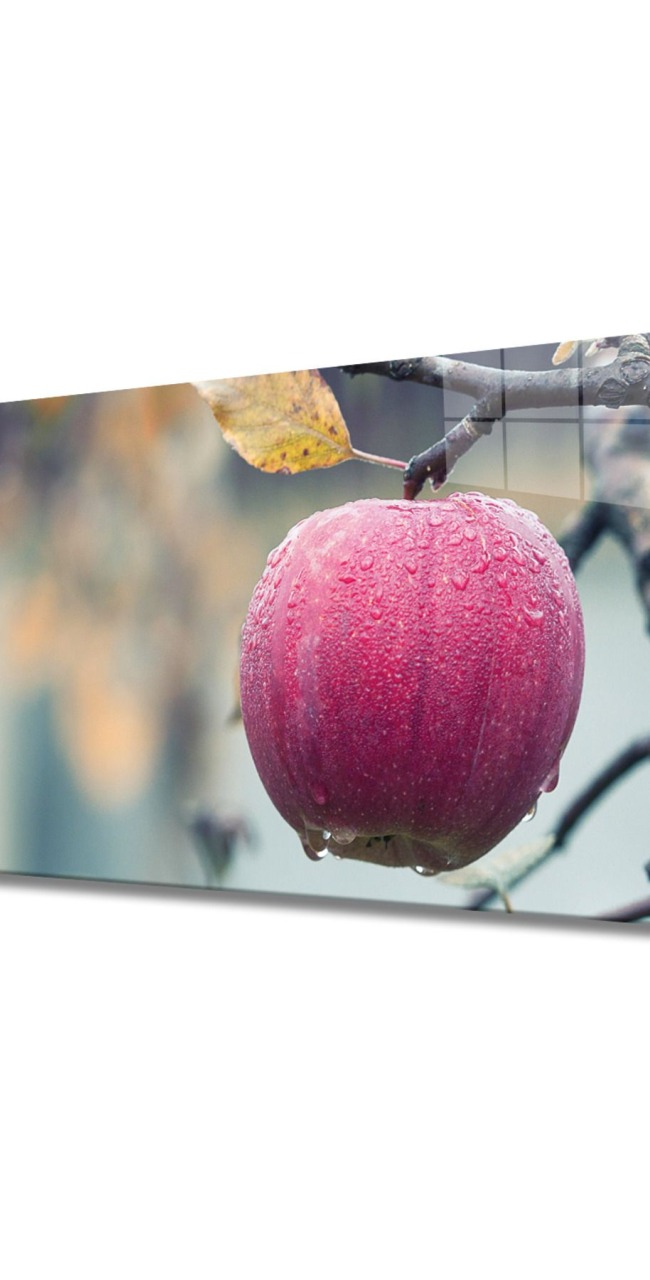 Meyveler Cam Tablo 4mm Dayanıklı Temperli Cam