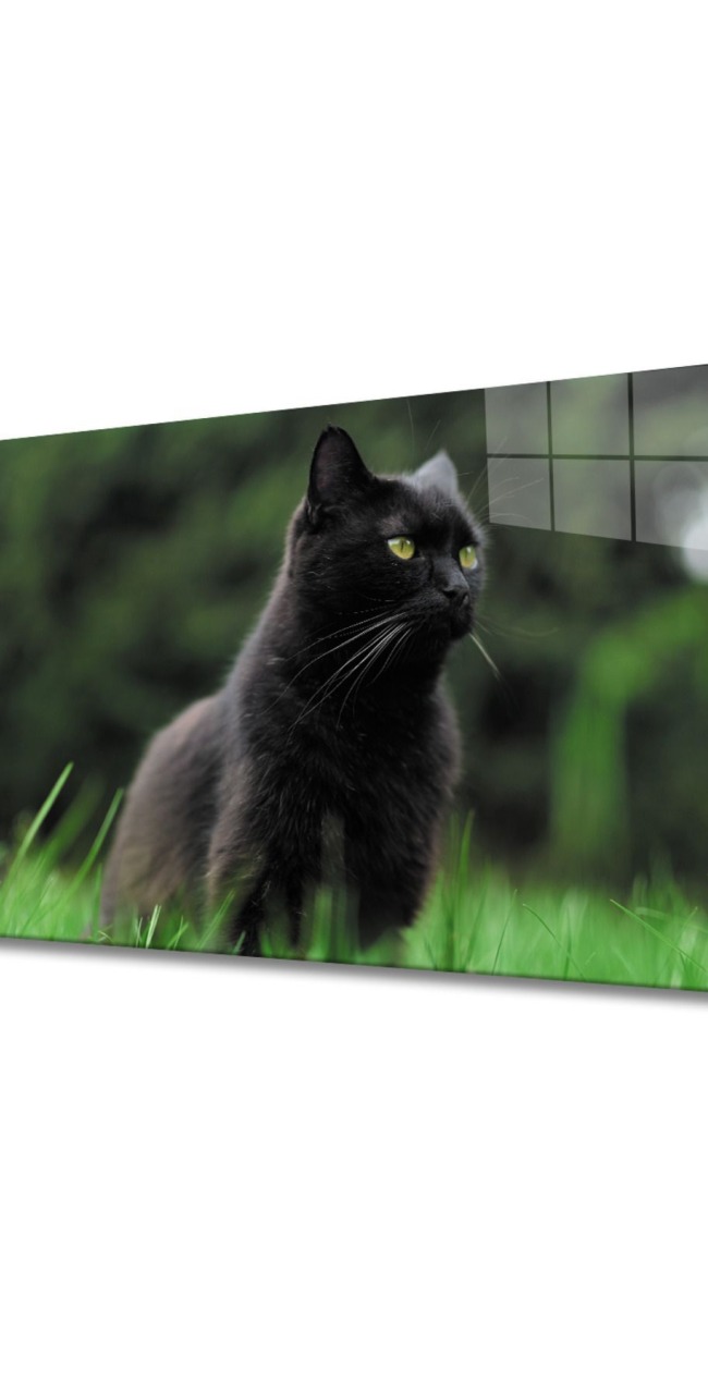 Kedi 2 Cam Tablo