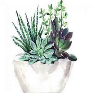  Saksıdaki Çiçekler Sayılarla Boyama Seti Kasnaklı  40 x 50