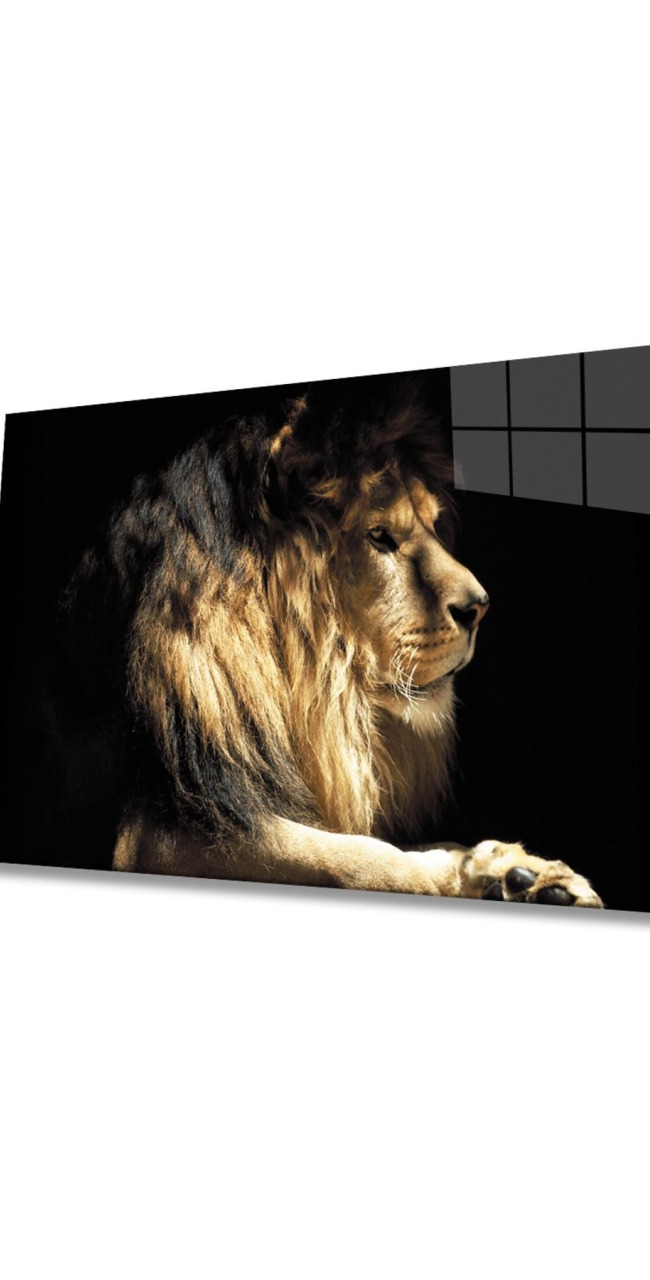 Aslan Hayvan Cam Tablo 4mm Dayanıklı Temperli Cam