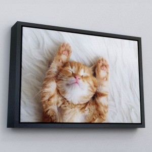 Çerçeveli Yavru Kedi Dekoratif Kanvas Tablo-1125