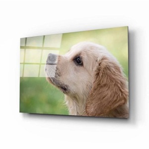 Köpek 1 Cam Tablo