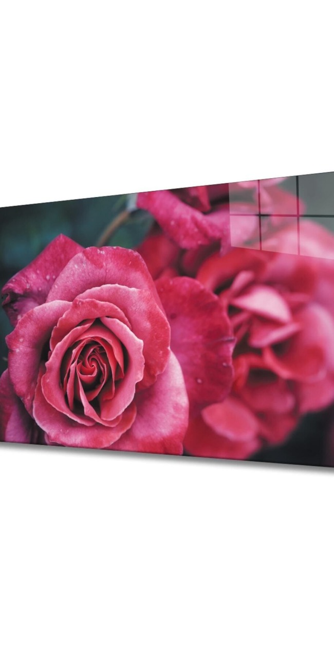 Rose 1 Cam Tablo