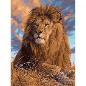 Lider Aslan  Sayılarla Boyama Seti Kasnaklı  40 x 50