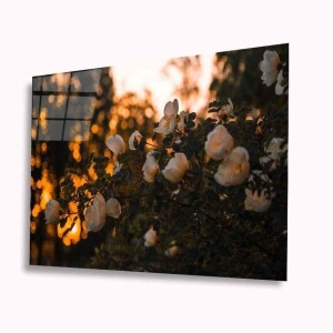 Çiçek Cam Tablo 4mm Dayanıklı Temperli Cam