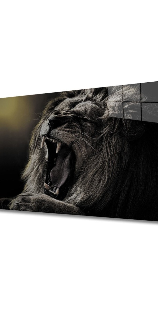 Aslan 4 Cam Tablo