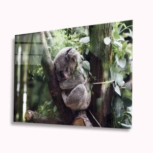 Koala Cam Tablo 4mm Dayanıklı Temperli Cam