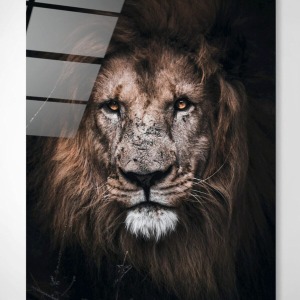 Aslan 2 Cam Tablo